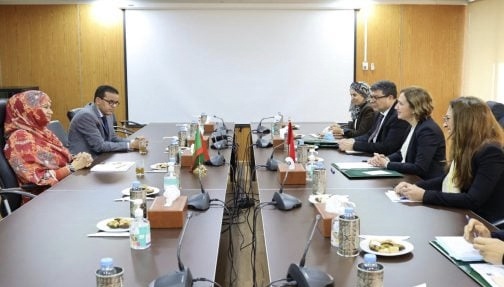 المغرب – موريتانيا: تعزيز التعاون في مجالي الصناعة التقليدية والاقتصاد الاجتماعي والتضامني