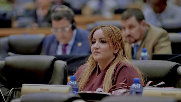 اجتماعات مكثفة بالبرلمان الإفريقي: المغرب يؤكد انفتاحه وتقاسم تجربته الرائدة