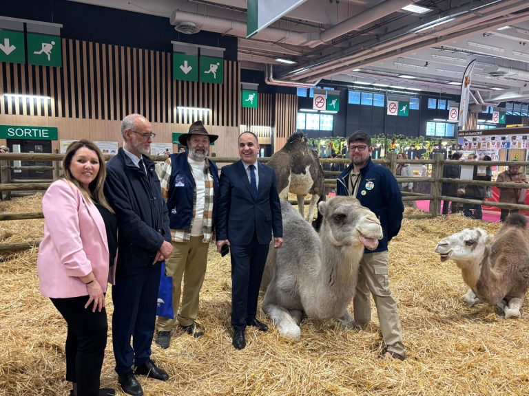 “المغرب يبرز خبرته الزراعية وتربية الإبل في صالون باريس الدولي للزراعة
